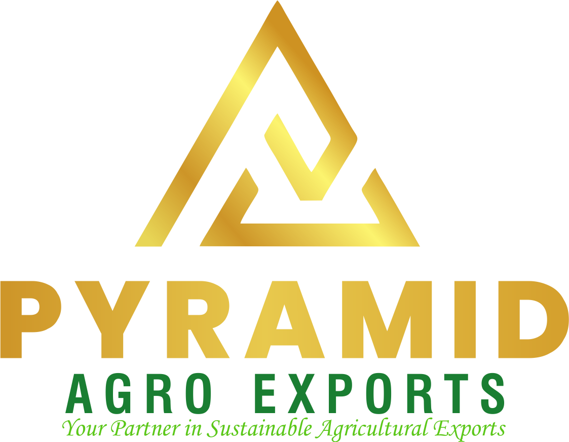 Pyramid Agro Exports Logo